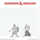 D&D Nolzur's Mini: Black Gauntlet & Zhentilar Paladin of Bane