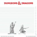 D&D Nolzur's Mini: Cultist of Bhaal & Cultist of Myrkul