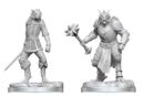 D&D Nolzur's Mini: Dragonborn Paladin & Dragonborn Squire