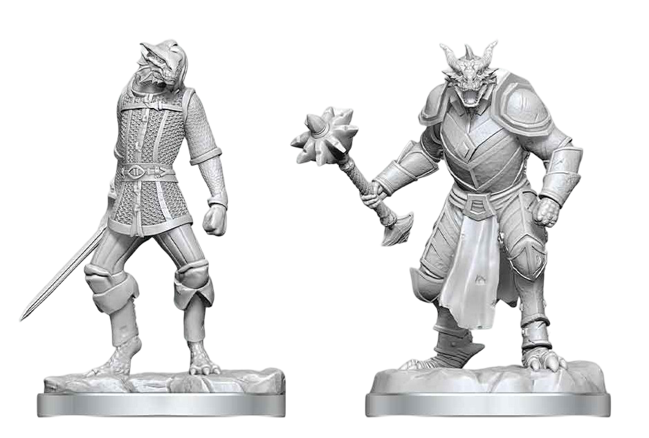 D&D Nolzur's Mini: Dragonborn Paladin & Dragonborn Squire