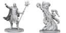 D&D Nolzur's Mini: Drow Mage & Yochlol
