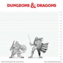 D&D Nolzur's Mini: Dwarf Fighter & Orc Paladin