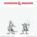 D&D Nolzur's Mini: Elf Ranger & Dragonborn Monk