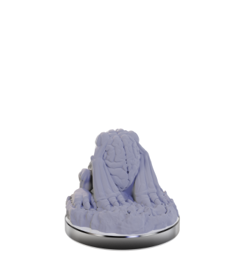 D&D Nolzur's Mini: Intellect Devourers