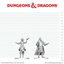D&D Nolzur's Mini: Knight & Mage Apprentice
