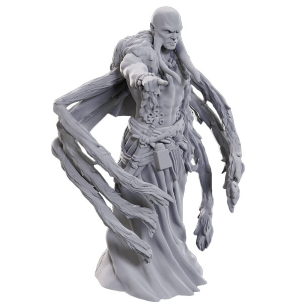 D&D Nolzur's Mini: Kraken Priest
