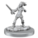 D&D Nolzur's Mini: Quicklings