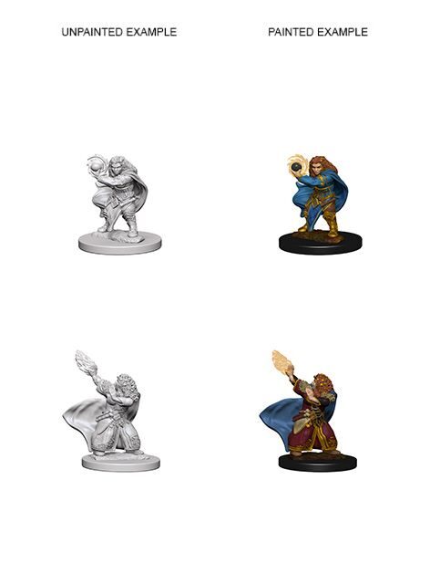 Dwarf Female Wizard