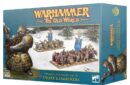 Dwarfen Mountain Holds: Dwarf Hammerers