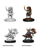 Female Halfling Fighter Nolzur's Marvelous Miniatures