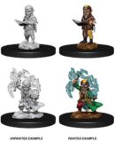 Male Gnome Sorcerer Pathfinder Miniature