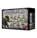 Scarcarg Snivellers Blood Bowl Team