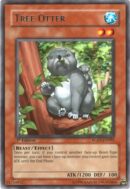 Tree Otter