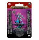 Tzeentch Arcanites Tzaangor Shaman